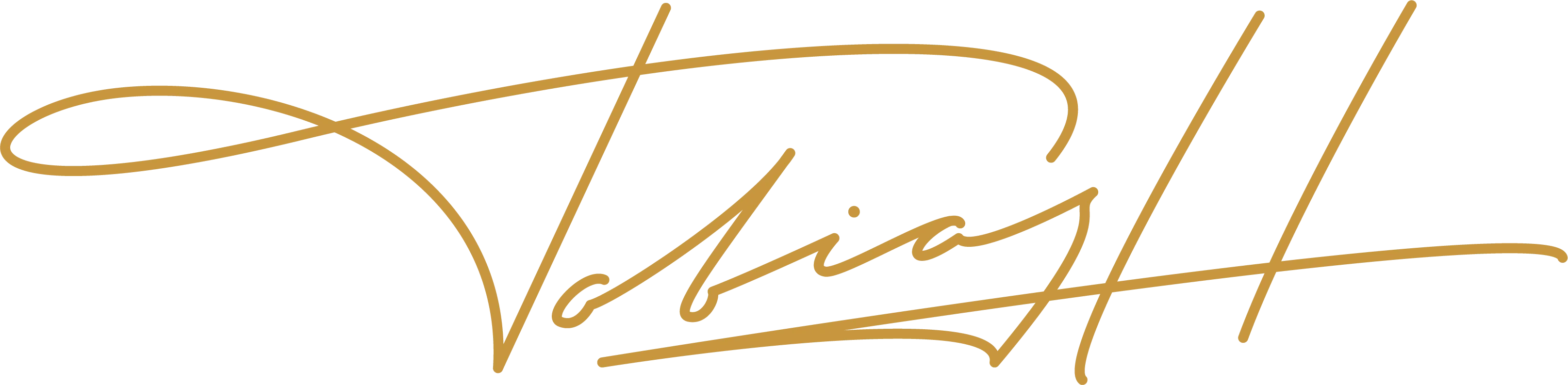 Signatur Tobias Huber